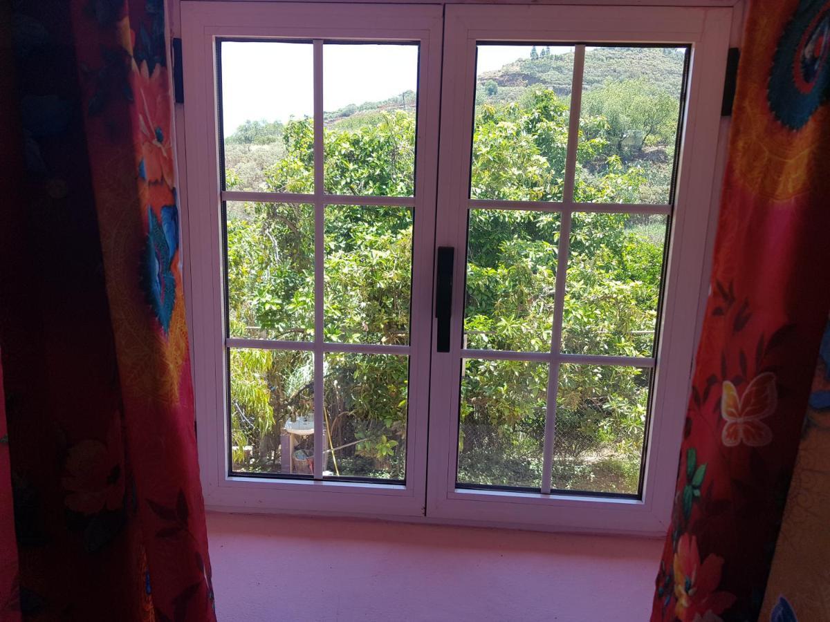 Finca Rural Torres Casas 1 Y 4 Bed & Breakfast Vega de San Mateo Zewnętrze zdjęcie