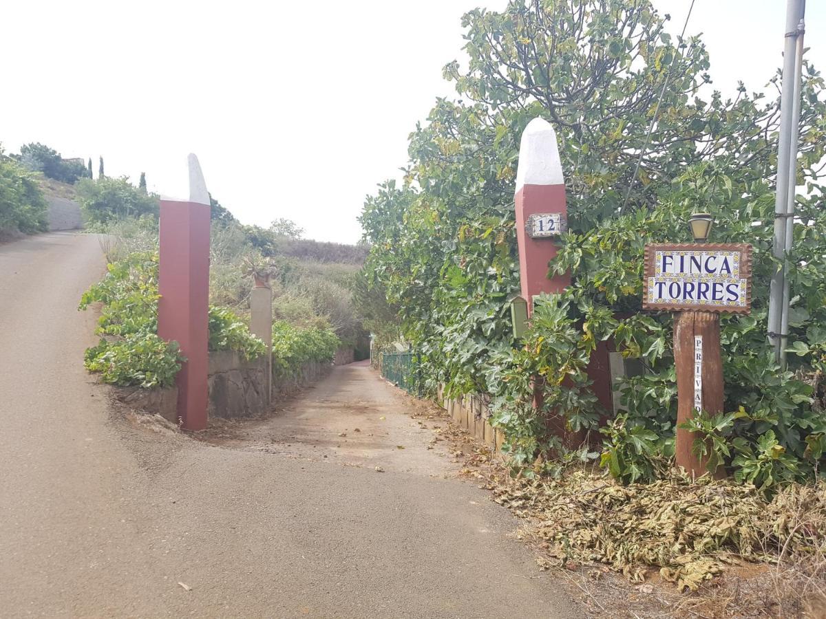 Finca Rural Torres Casas 1 Y 4 Bed & Breakfast Vega de San Mateo Zewnętrze zdjęcie