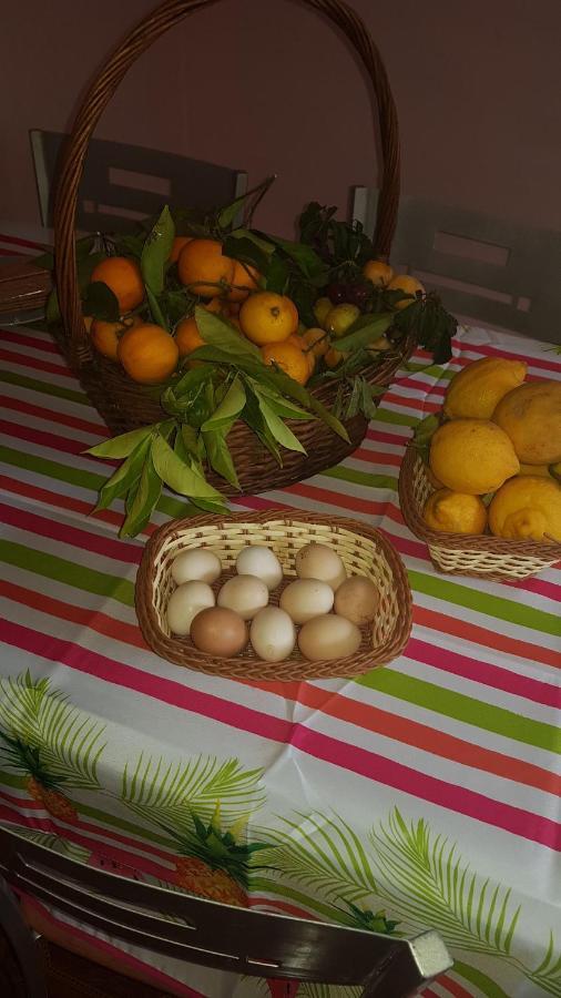 Finca Rural Torres Casas 1 Y 4 Bed & Breakfast Vega de San Mateo Zewnętrze zdjęcie