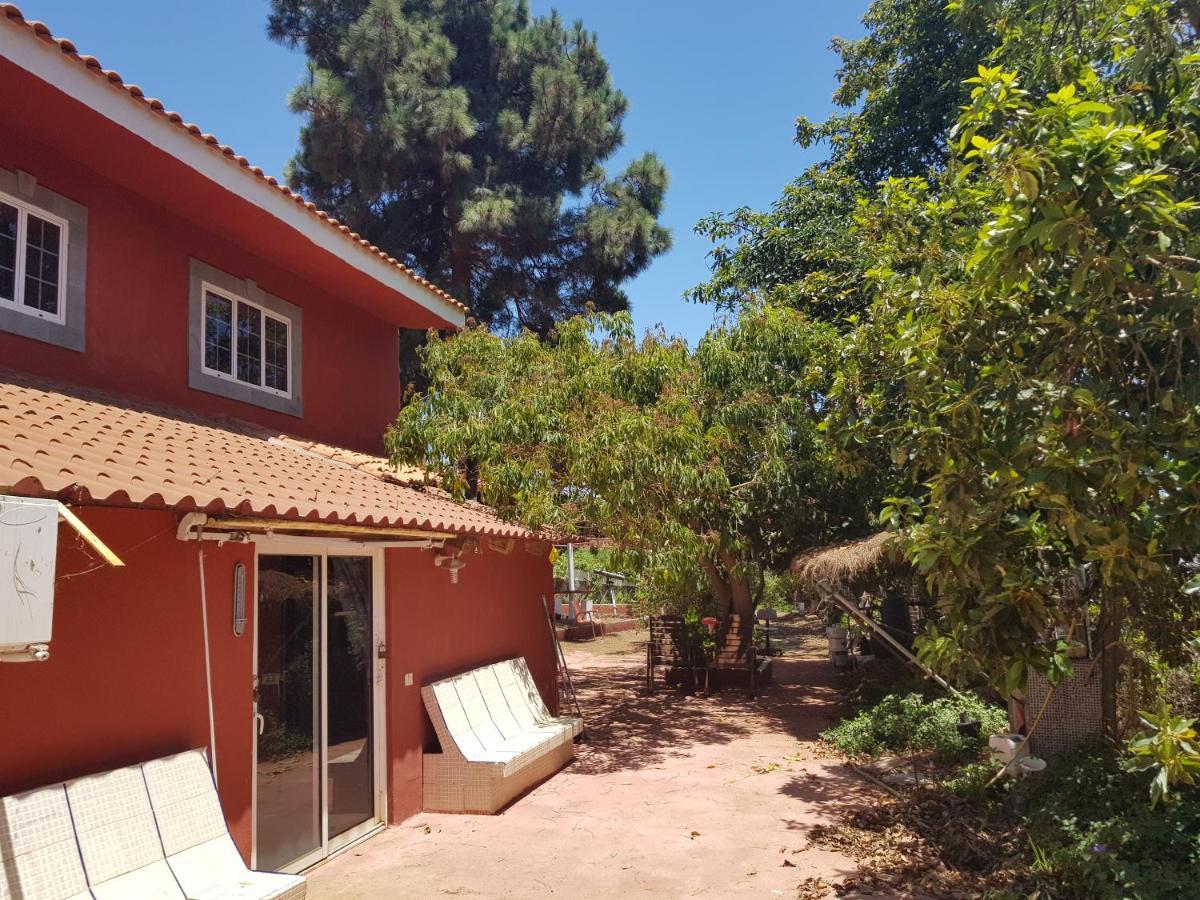 Finca Rural Torres Casas 1 Y 4 Bed & Breakfast Vega de San Mateo Zewnętrze zdjęcie