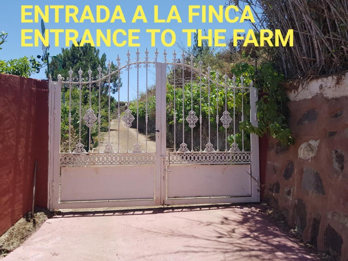 Finca Rural Torres Casas 1 Y 4 Bed & Breakfast Vega de San Mateo Zewnętrze zdjęcie