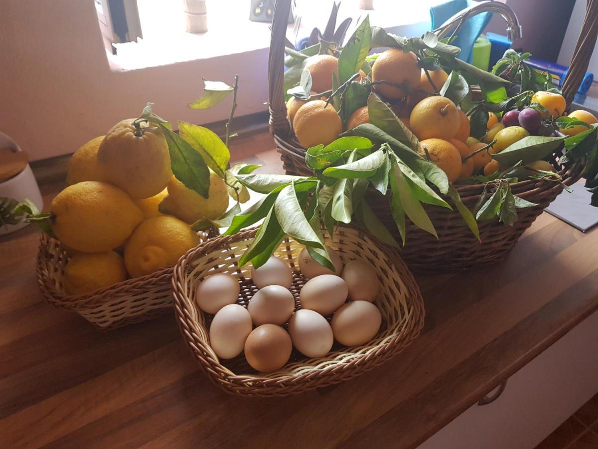 Finca Rural Torres Casas 1 Y 4 Bed & Breakfast Vega de San Mateo Zewnętrze zdjęcie