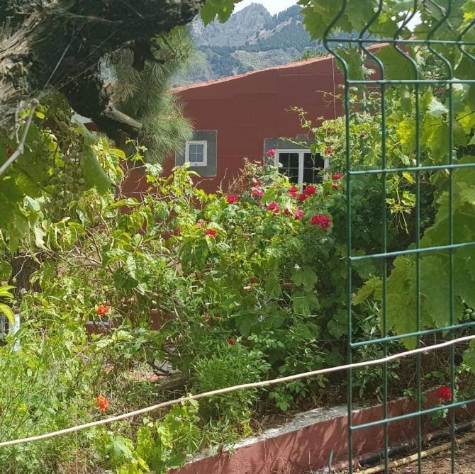 Finca Rural Torres Casas 1 Y 4 Bed & Breakfast Vega de San Mateo Zewnętrze zdjęcie