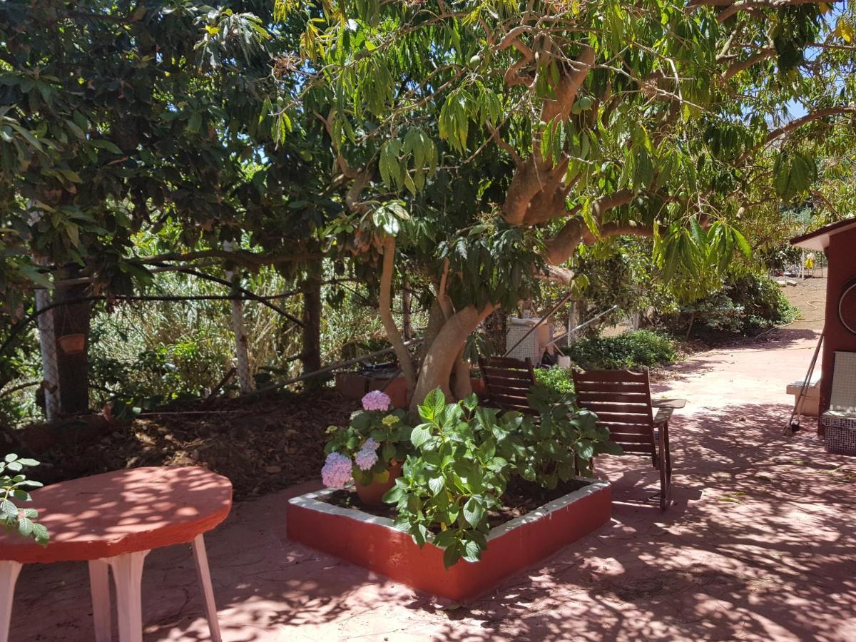 Finca Rural Torres Casas 1 Y 4 Bed & Breakfast Vega de San Mateo Pokój zdjęcie