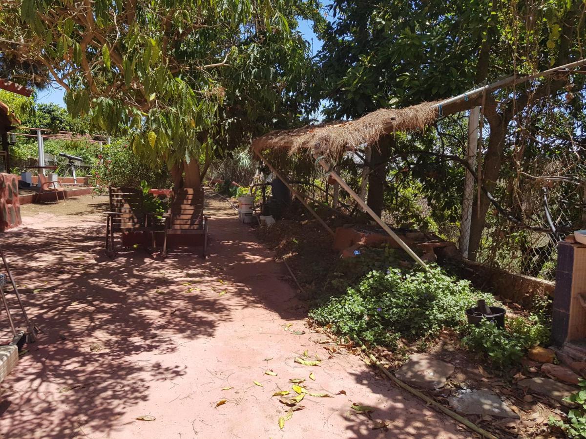 Finca Rural Torres Casas 1 Y 4 Bed & Breakfast Vega de San Mateo Pokój zdjęcie